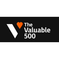 The Valuable 500